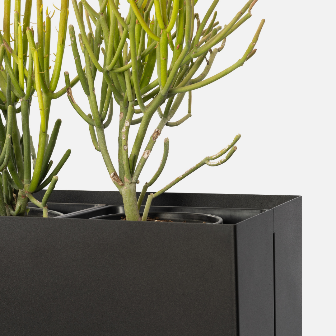 Vaso da fiori Soho Box - Extra Large